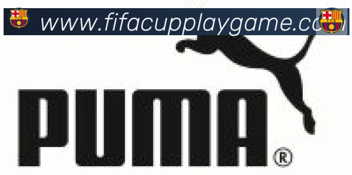 FIFA世界杯玩法官方网站合作伙伴